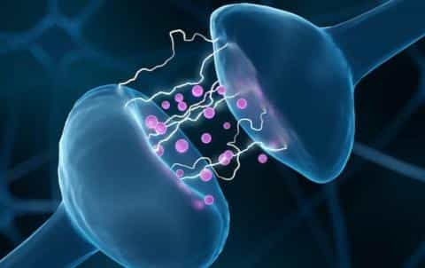 Marathon Running Temporarily Alters the Brain—Here’s What That Means